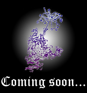 Mr Wizard's is coming soon!